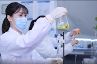 巾幗不讓須眉，她們獲省級巾幗文明崗榮譽