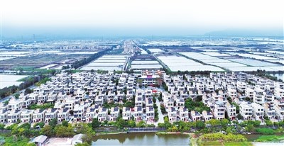 新馬墩村：   從“移居”到“宜居”